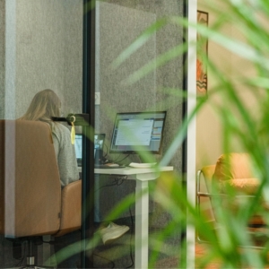 Woman working in an office pod called the focus 1. with a plant in the front
